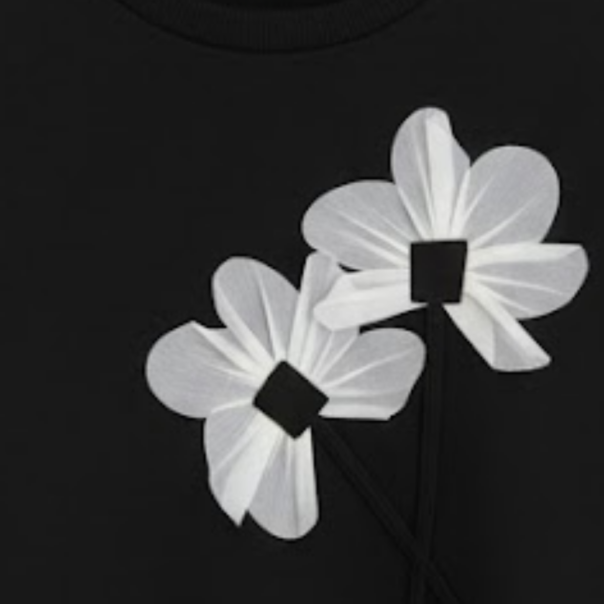 Combo of 2 Women's Cozy Sweatshirts | Stylish Winter Pack | SS-23